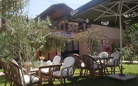 Gold Apart Hotel